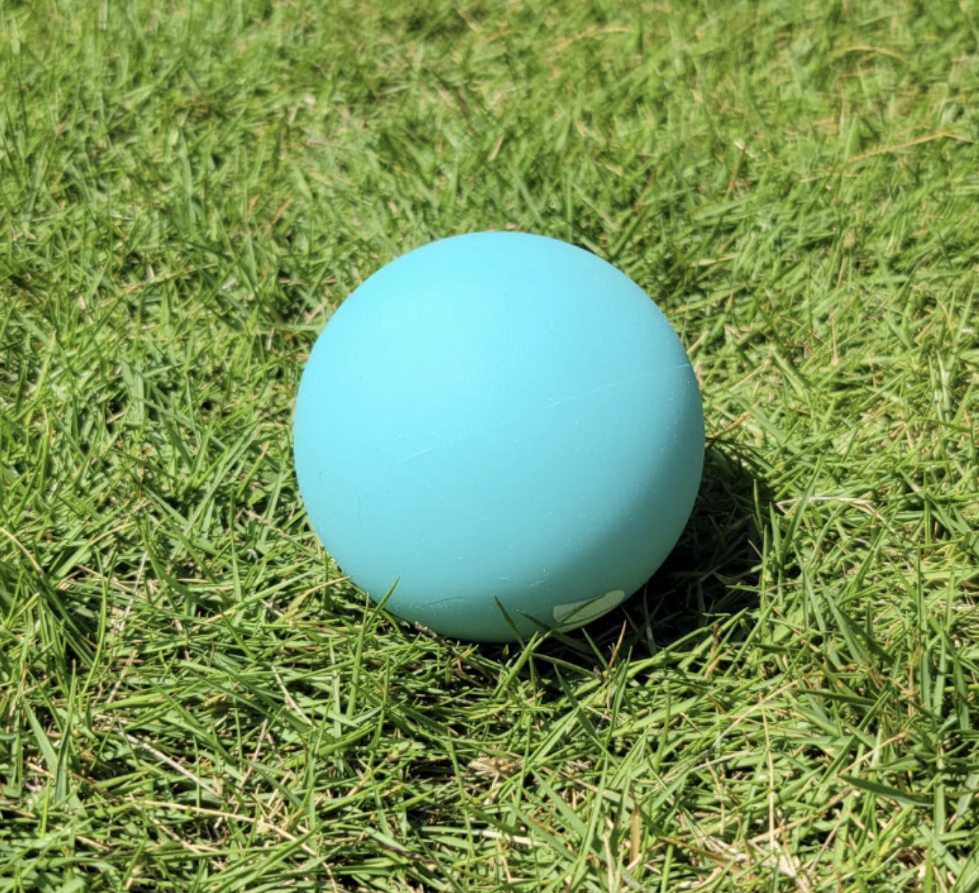 Muscle Recovery Massage Ball